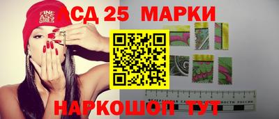 скорость Заводоуковск
